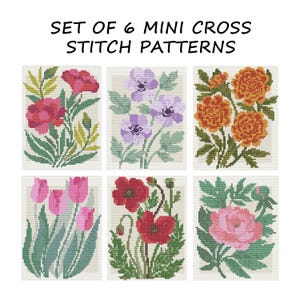 Puede incluir: Conjunto de 6 mini patrones de punto de cruz con diseños florales. Los patrones incluyen imágenes de amapolas rojas, pensamientos morados, caléndulas naranjas, tulipanes rosas, amapolas rojas y peonías rosas. El texto "SET OF 6 MINI CROSS STITCH PATTERNS" está en la parte superior.