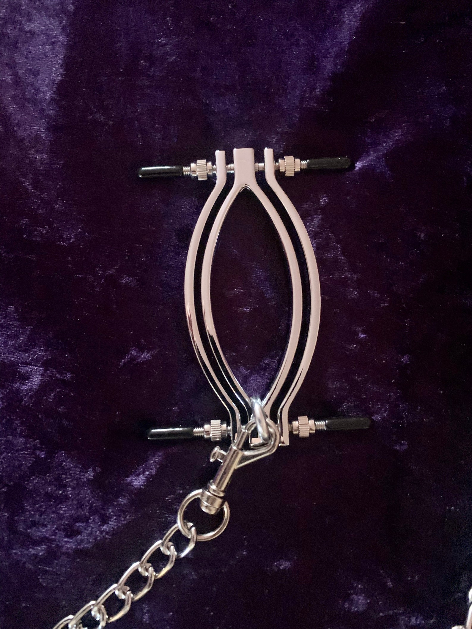 BDSM Pussy labia Vagina Clamp & Leash - Etsy