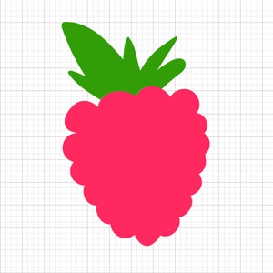 Puede incluir: Ilustración estilizada de una frambuesa. La fruta es de un rosa vibrante con una superficie texturizada, coronada por hojas verdes. El fondo es un patrón de cuadrícula, creando un diseño limpio y sencillo.