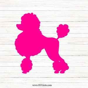 Poodle Svg, svg files, svg files for cricut, svg cricut, svg images, svg designs, Cut Files Cricut, Digital Download, Silhouette Svg image 2