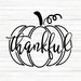 COMMERCIAL USE! Pumpkin Svg, Fall Svg, Thankful Svg, Thanksgiving Svg, Pumpkin Svg, Pumpkin Outline Svg, Fall Shirt Svg,  File, svg 