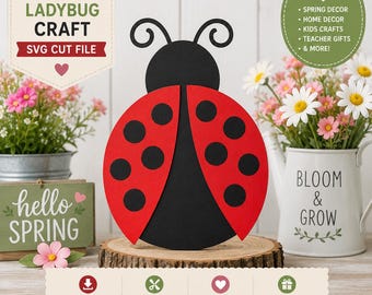 Lady Bug SVG Cut File for Cricut Crafts (Digital Download)