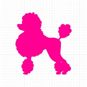 Pudel-Svg, SVG-Dateien, SVG-Dateien für Cricut, SVG Cricut, SVG-Bilder, SVG-designs, Cut Files Cricut, Digital Download