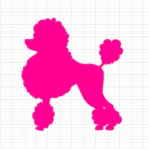 Poodle Svg, svg files, svg files for cricut, svg cricut, svg images, svg designs, Cut Files Cricut, Digital Download, Silhouette Svg image 1