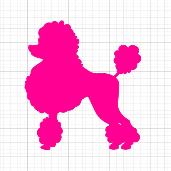 Poodle Svg, svg files, svg files for cricut,  svg cricut, svg images,  svg designs, Cut Files Cricut, Digital Download, Silhouette Svg