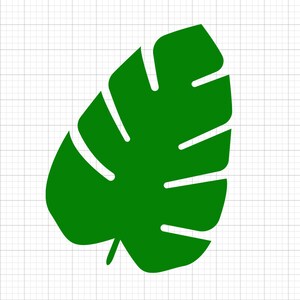 Foglia di palma Svg, file svg, file svg per cricut, svg cricut, immagini svg, disegni svg, clipart, svg, download digitale