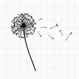 Dandelion Svg, svg files, svg files for cricut,  svg cricut, svg images,  svg designs, clipart, svg, Digital Download, Silhouette Svg