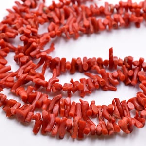 May include: A strand of red coral beads, each bead is a small branch of coral with a natural, irregular shape.