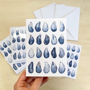 Conchas de mejillón - Tarjeta de felicitación en blanco - A6