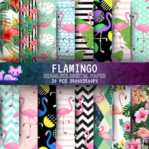 Paquete de papel digital flamenco y tropical: 20 archivos JPG para scrapbooking de verano y uso comercial
