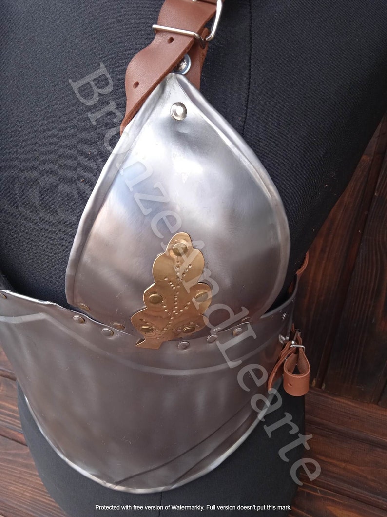 May include: A silver breastplate with a decorative gold leaf design. The breastplate is made of metal and has a leather strap.