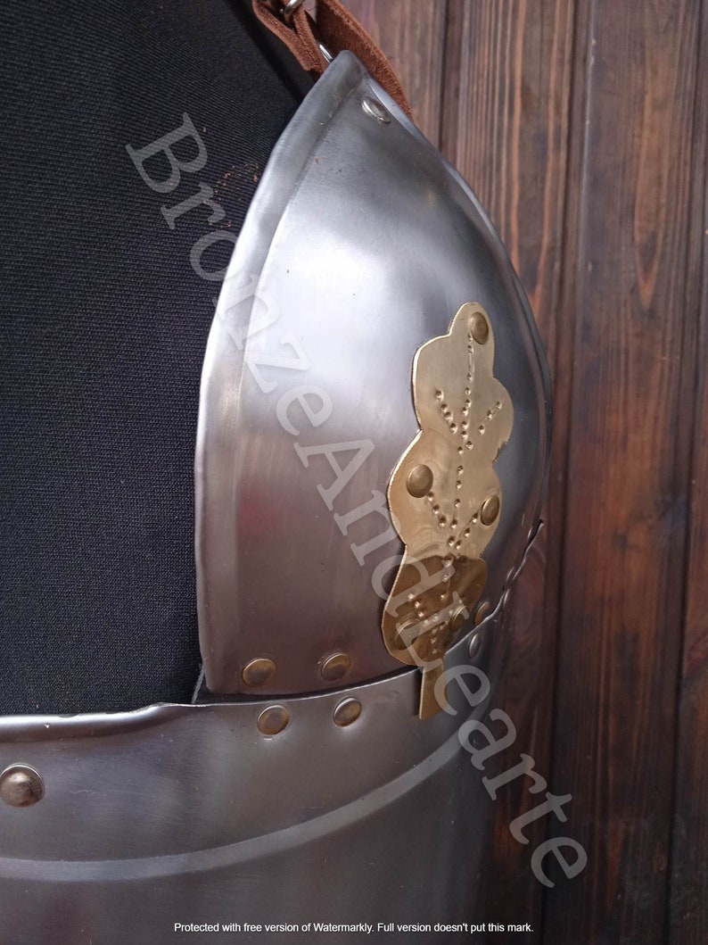 May include: A close-up of a silver metal breastplate with a gold leaf design. The breastplate has a leather strap attached to it.