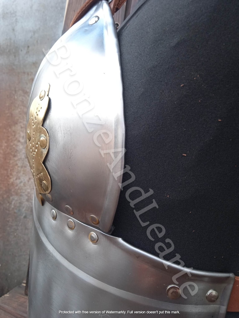 May include: A silver metal breastplate with a decorative brass design. The breastplate has a curved shape and is secured with rivets.