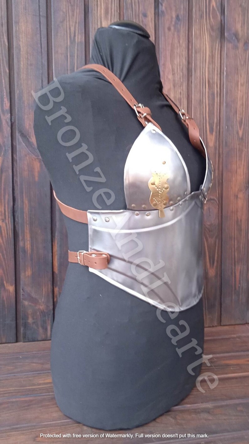 May include: A silver metal breastplate with a decorative gold design. The breastplate is worn on a mannequin with brown leather straps.
