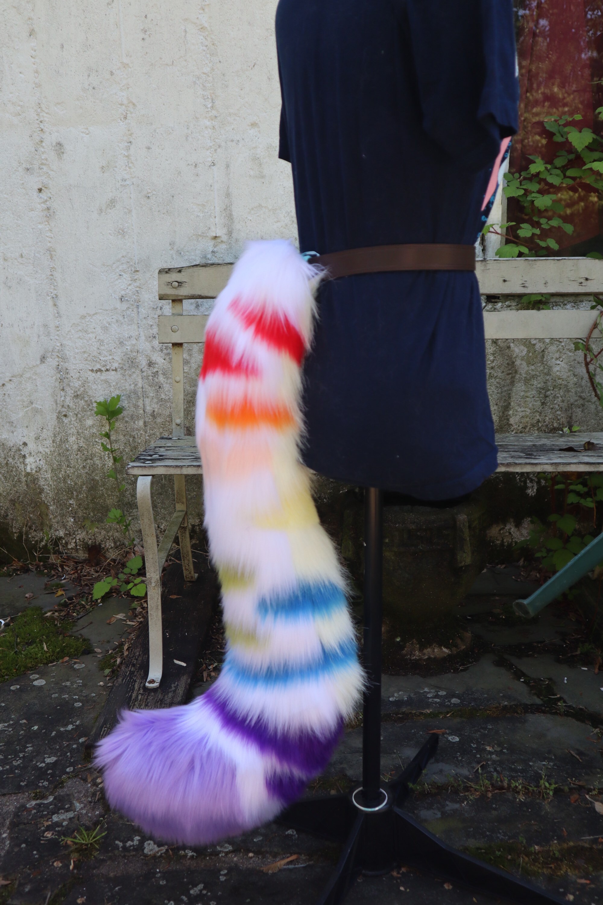Bears And Their Tails: A Mystery Solved? - pb2vlmi