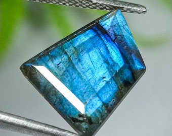 Faceted Labradorite Gemstone: Fancy Shape Loose Stone (13x11x6mm)