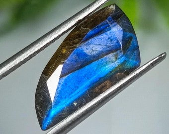 4.80 Carat Faceted Labradorite Gemstone: Canine Shape, Earth Mined