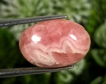 Natural Pink Rhodochrosite Cabochon: 10.25 ct Oval Gemstone (16x11x5 MM)