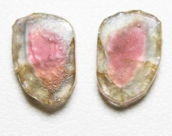 Watermelon Tourmaline Slice Pair: 3.90 Carats, Fancy Cut Gemstone