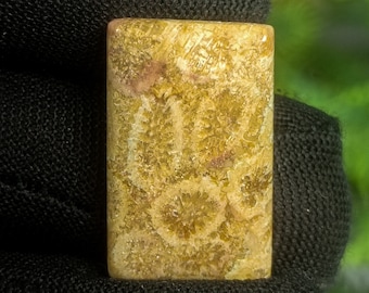 Natural Fossil Coral Cabochon: Yellow Square Stone (22x14x4 mm)