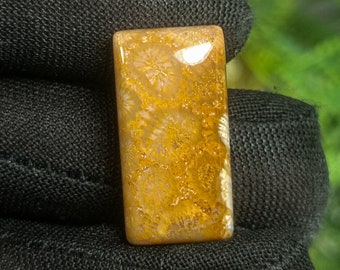 Natural Fossil Coral Cabochon: Yellow Gemstone (24X12X6 mm)