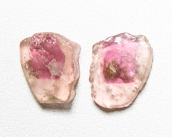 Watermelon Tourmaline Slice Pair: 3.30 Carats, 9x7x2 mm, Fancy Cut