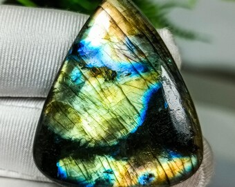 Multi Blue Flash Labradorite Pear Cabochon: Healing Crystal Gemstone (49X34X6 mm, 66 Carats)
