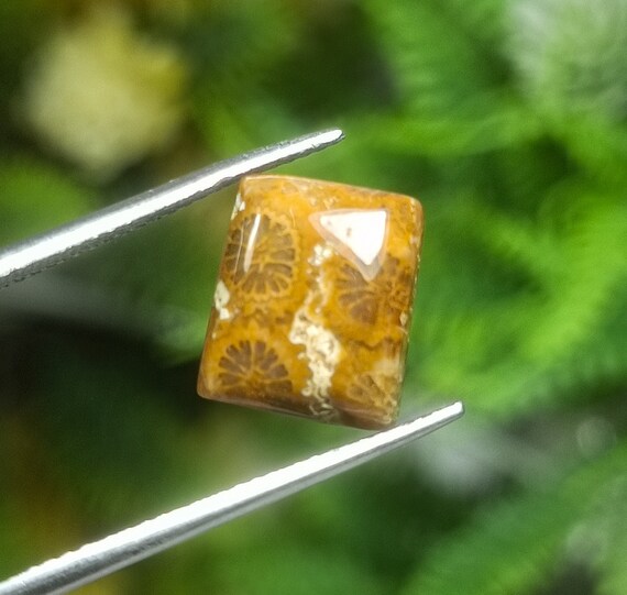 Natural Fossil Coral Cabochon: Yellow Square Stone (10x9x5 mm)