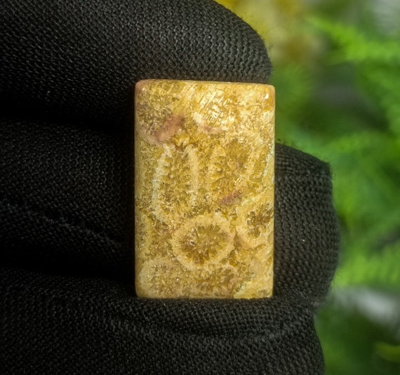 Natural Fossil Coral Cabochon: Yellow Square Stone (22x14x4 mm)