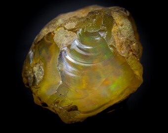 Natural White Ethiopian Opal Raw with Fire (36x31mm, 202.35Cts)