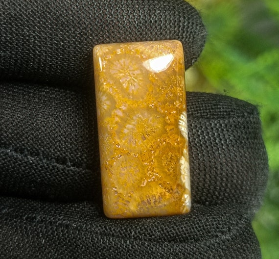 Natural Fossil Coral Cabochon: Yellow Gemstone (24X12X6 mm)