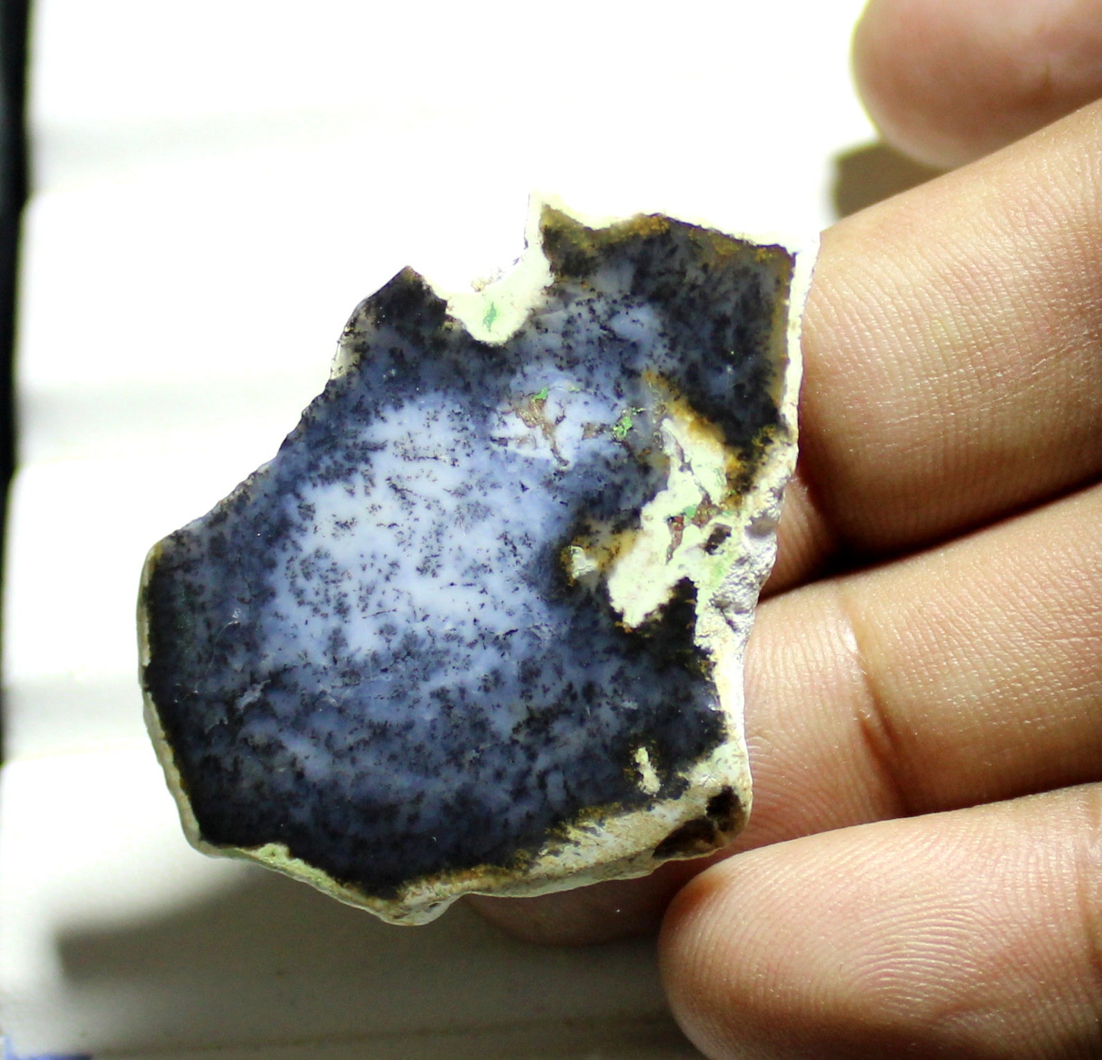 adult dendrite opal adult dendrite opal