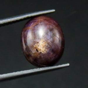 May include: A polished, oval-shaped gemstone held by tweezers. The gem has a deep burgundy color with internal light-colored inclusions and a reflective surface. The gemstone is set against a dark background.