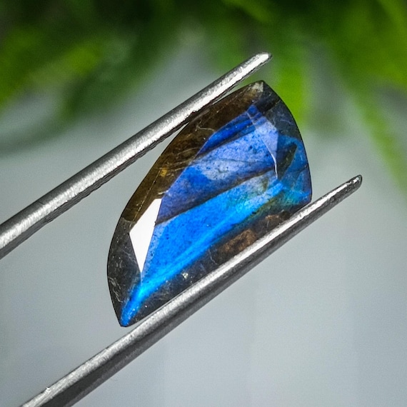 4.80 Carat Faceted Labradorite Gemstone: Canine Shape, Earth Mined