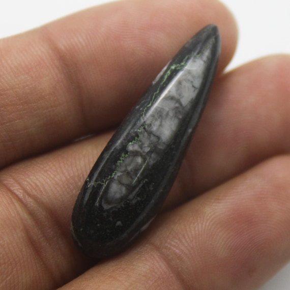 Orthoceras Fossil Gemstone, Designer Orthoceras, Hand Crafted Smooth Cabochon, Jewelry Making 15.35 Carat