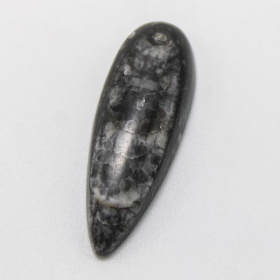 Orthoceras Fossil Gemstone, Designer Orthoceras, Hand Crafted Smooth Cabochon, Jewelry Making 17.80 Carat