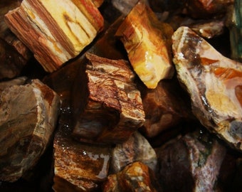 Summer Sale!! 2000 Carat Lots of Unsearched Petrified Wood + a Free Faceted Gemstone