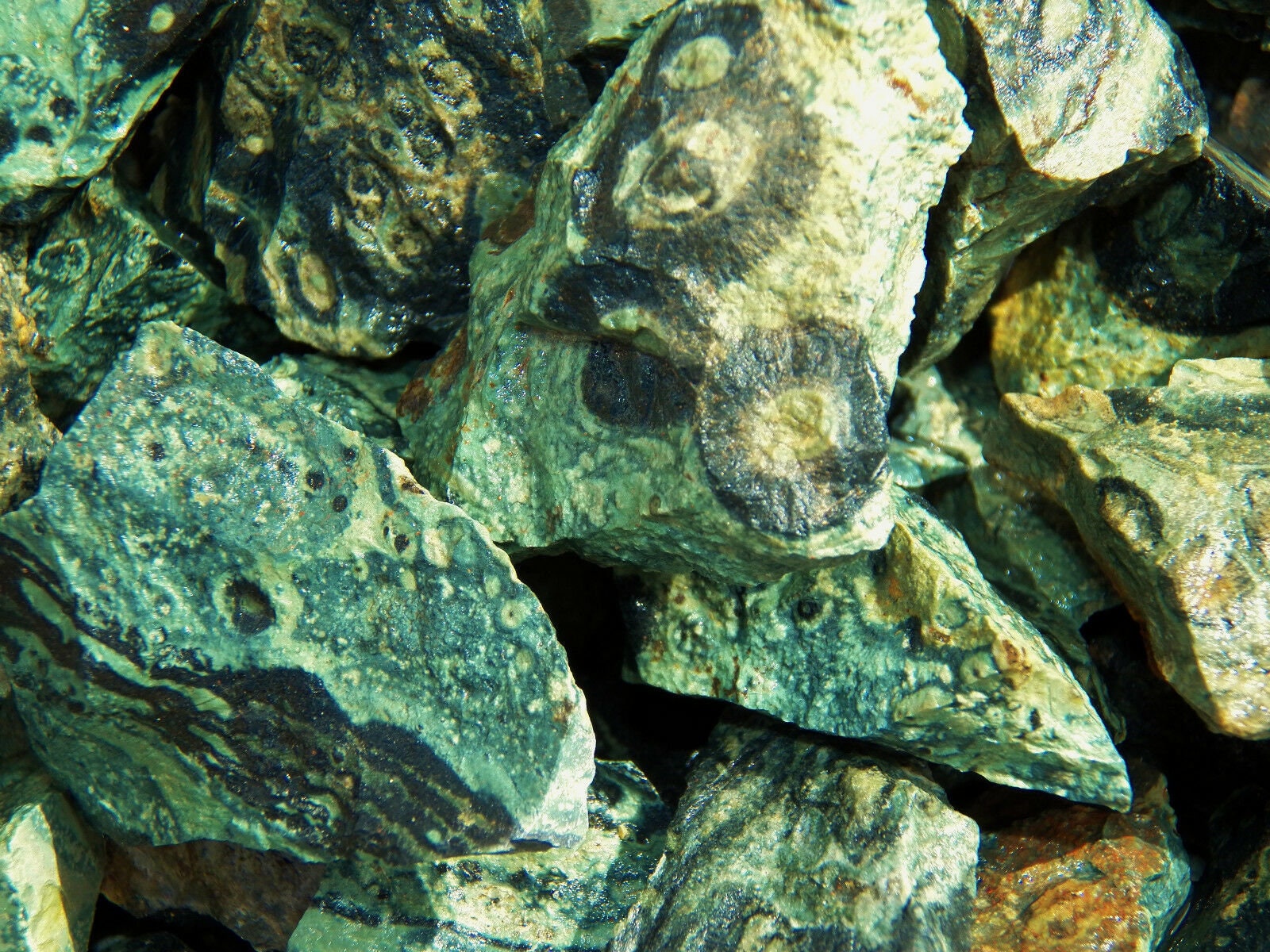crocodile jasper properties crocodile jasper properties