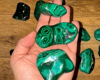 Big Sale!! Polished Malachite Free Form Specimens - 1/2 lb Lot (1-3 pieces) Excellent Quality High End From Congo