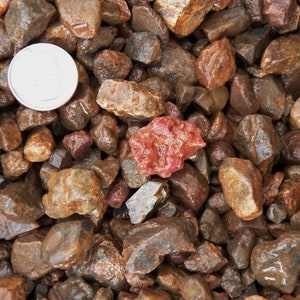 May include: Close-up of a pile of wet, multi-colored rocks, with a silver coin for scale. The rocks vary in size and shade, from reddish-brown to dark brown. The surface of the rocks appears smooth and reflective.