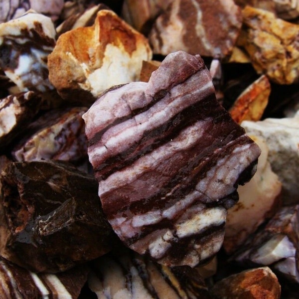 Summer Sale!! WHOLESALE Lots of Zebra Jasper Rough + a VERY Nice FREE Faceted Gemstone (3 lbs, 5 lbs, or 11 lbs)