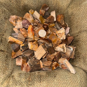 Big Sale!! 2000 Carat Lots of Unsearched Petrified Wood + a Free Faceted Gemstone