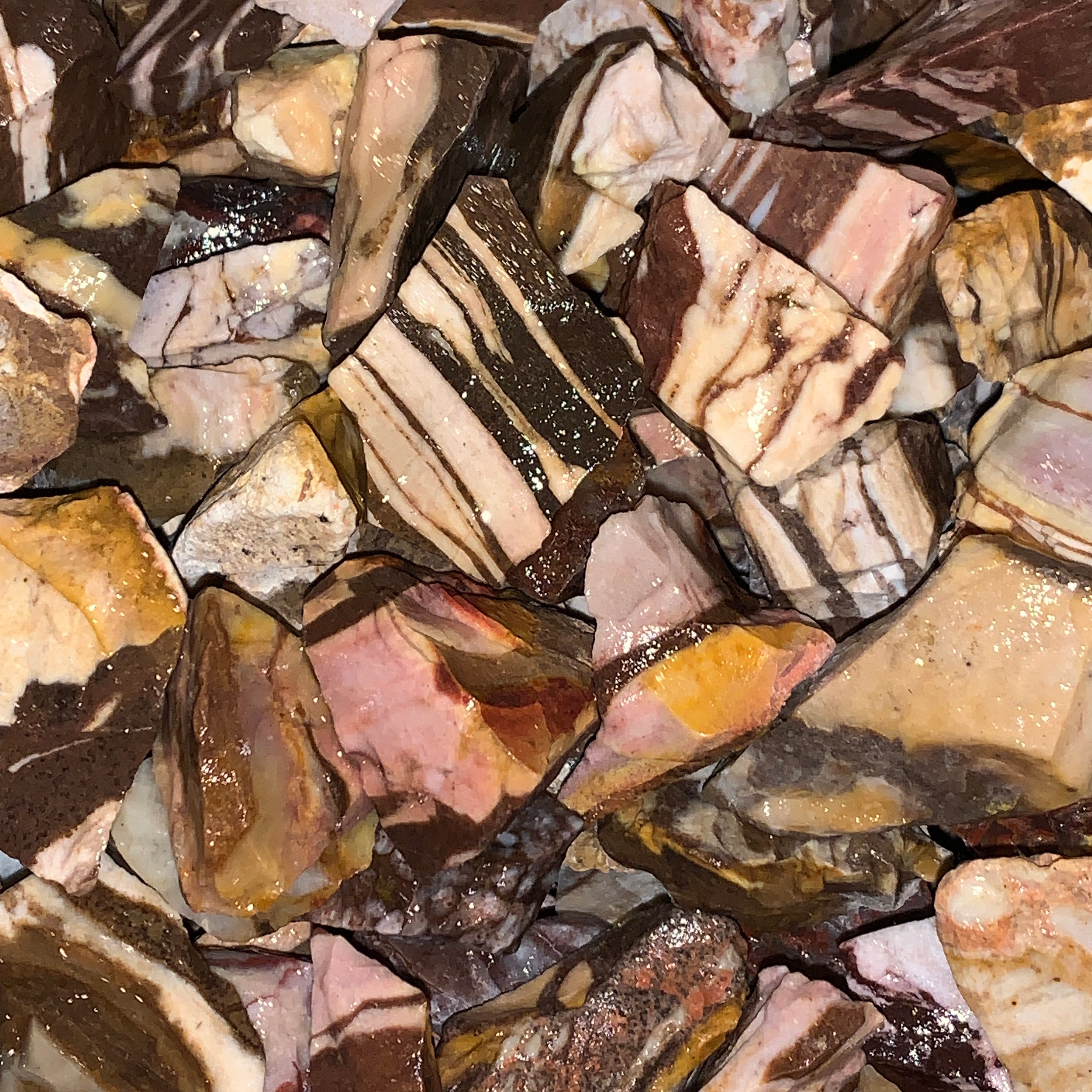 3000 Carat Lots of SMALL Zebra Jasper Rough a FREE Faceted Etsy