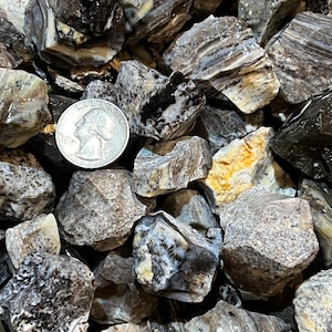 May include: A close-up of a pile of rough, gray, black, and white banded agate stones. The stones are various sizes and shapes. A US quarter is included for scale.