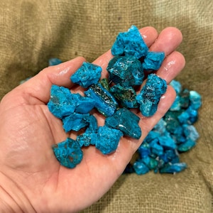 May include: A handful of turquoise gemstone chips in various sizes and shapes. The chips are a vibrant blue-green color and have a smooth, polished surface.