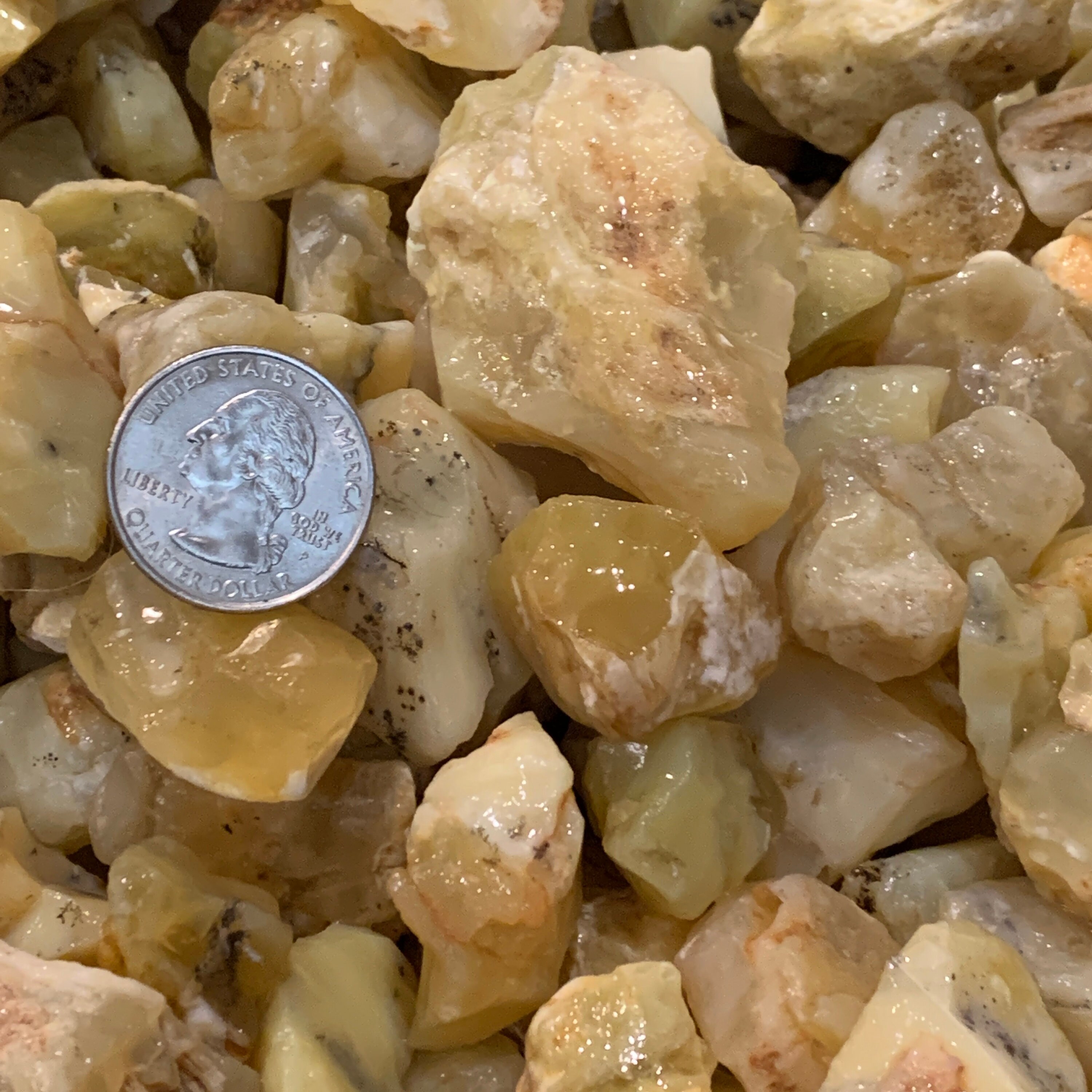 500 Carat Lots of Yellow Opal Rough Plus a FREE Faceted | Etsy
