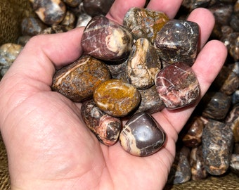 Winter Sale!! 1000 Carat Lots of Picasso Jasper TUMBLED POLISHED Gemstones + A FREE Faceted Gemstone