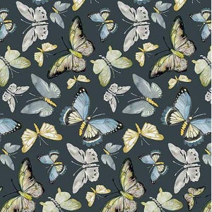 Dear Stella – Butterflies – Slate by Dear Stella (dcj-2150-slate)