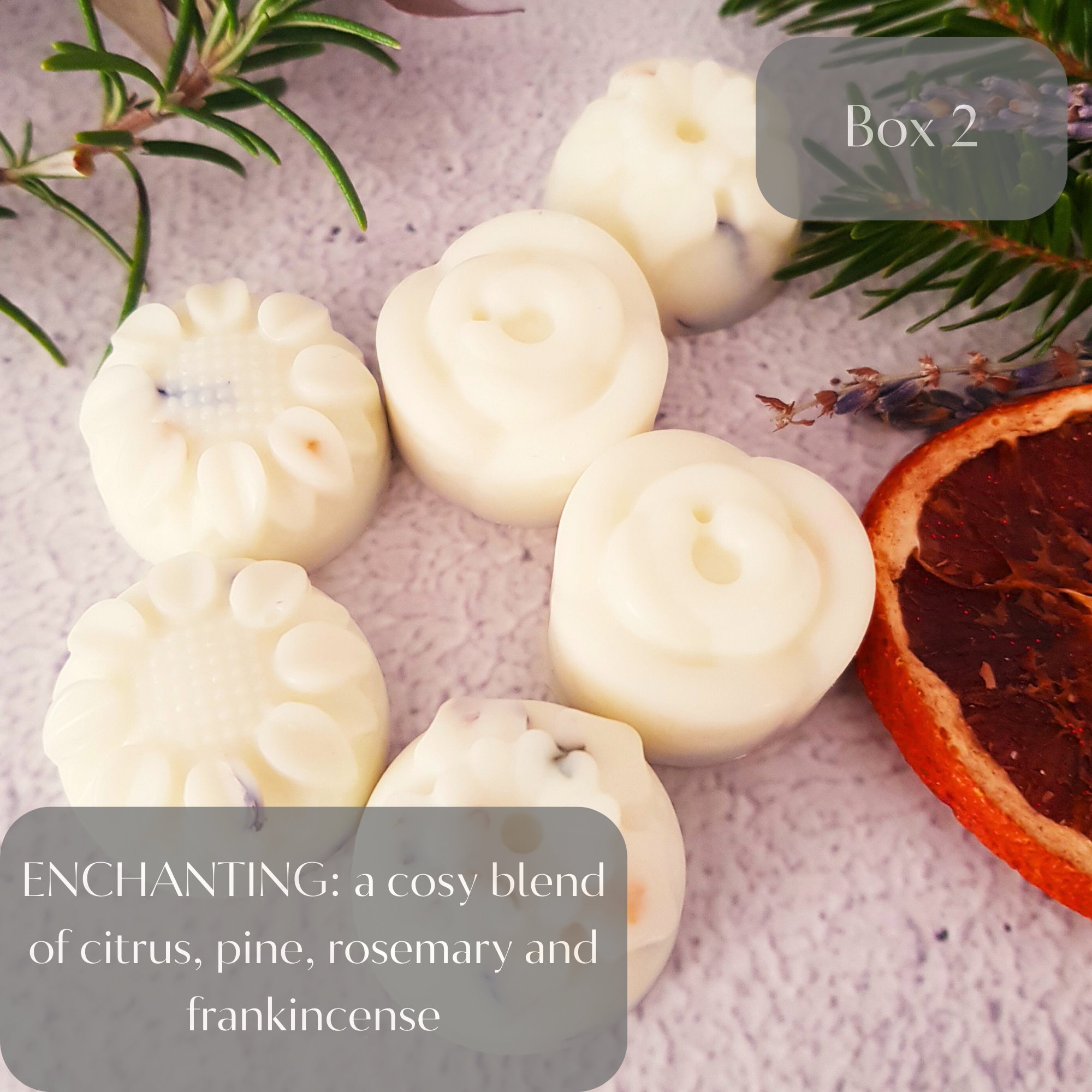 Pine and Citrus Natural Wax Melts With Essential Oils ENCHANTING Stress  Relief Gift Vegan Wax Melts 