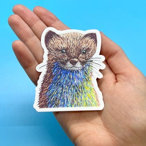 May include: A sticker featuring a detailed illustration of a weasel. The weasel has brown fur on its head and back, with a blue, yellow, and green chest. The sticker is held in a hand against a blue background.
